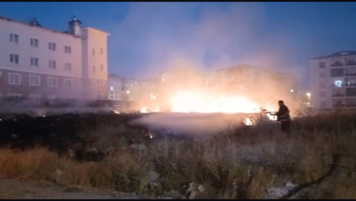 Kars'ta anız yangını korkuttu