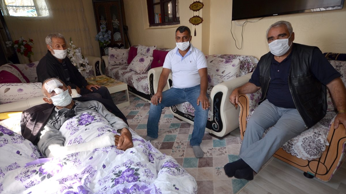 Kars'ta ayı saldırısına uğrayan kişi yaralandı