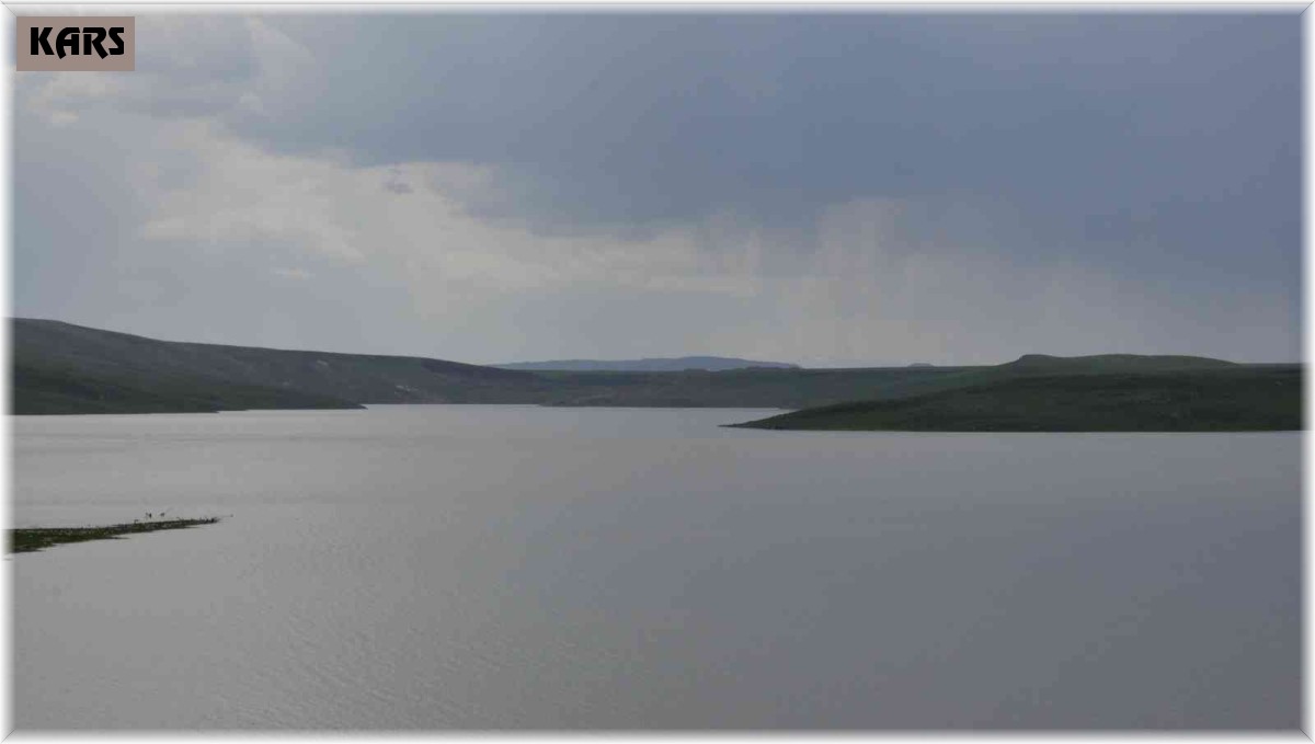 Kars'ta balık avı yasağı bugün başladı