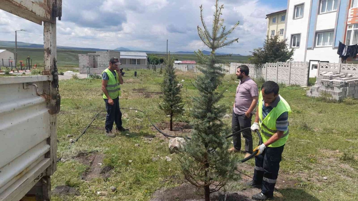 Kars'ta belediye park ve bahçelere fidan dikiyor