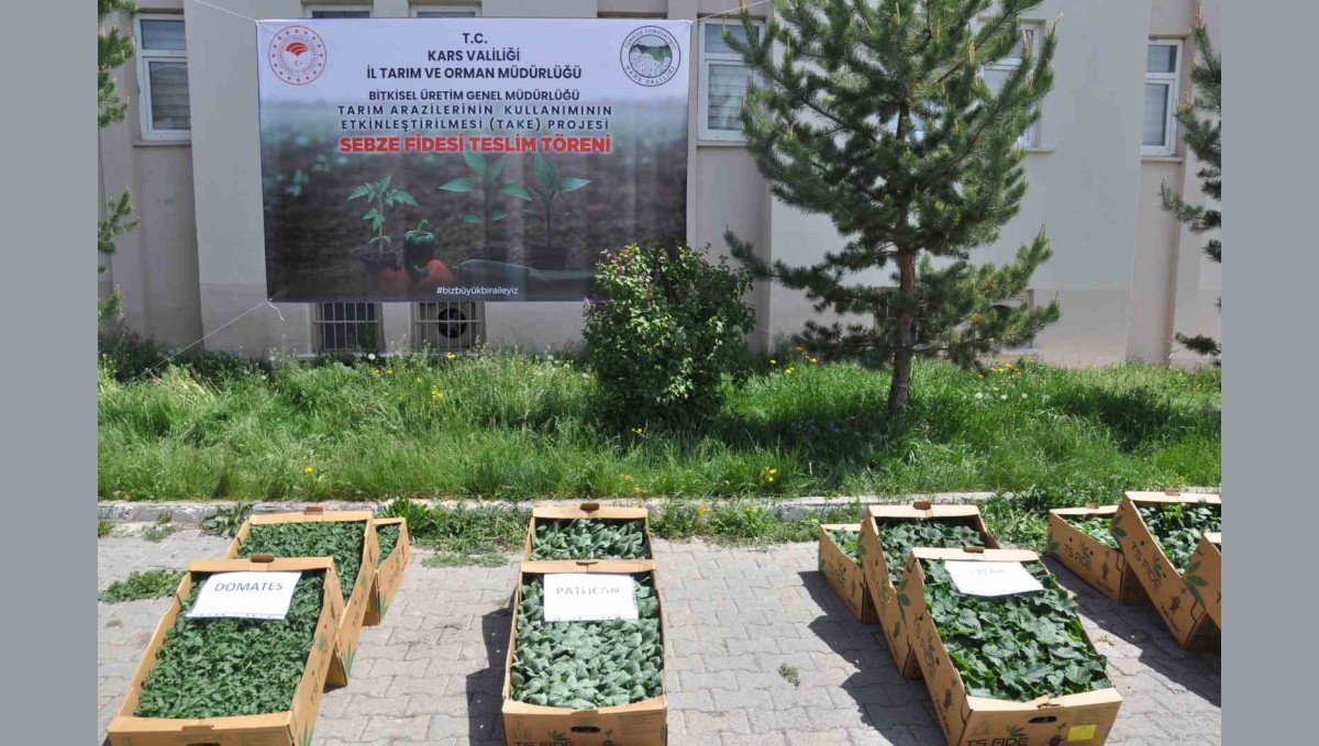 Kars'ta binlerce sebze fidesi dağıtıldı