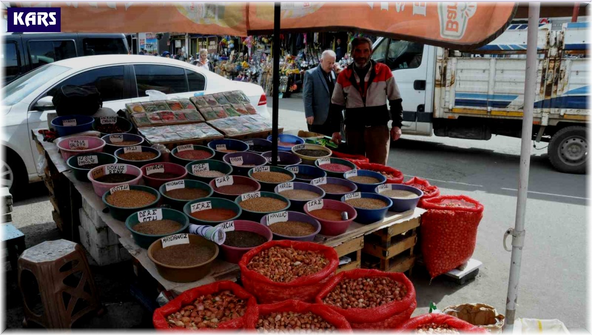 Kars'ta bostan tohumları satışa sunuldu