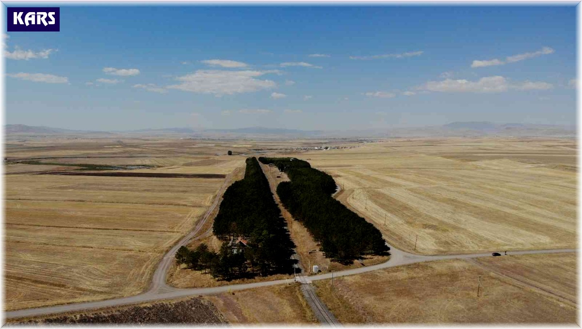 Kars'ta bozkırın ortasındaki 'vaha' büyülüyor