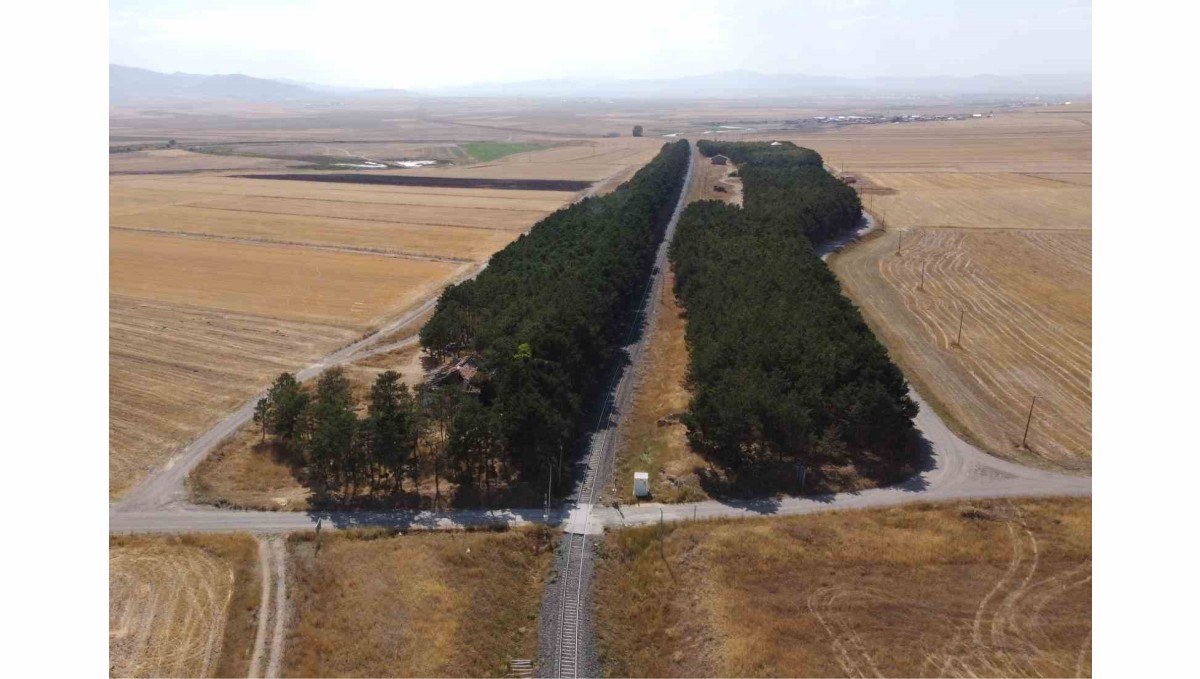 Kars'ta bozkırın ortasındaki vaha havadan görüntülendi