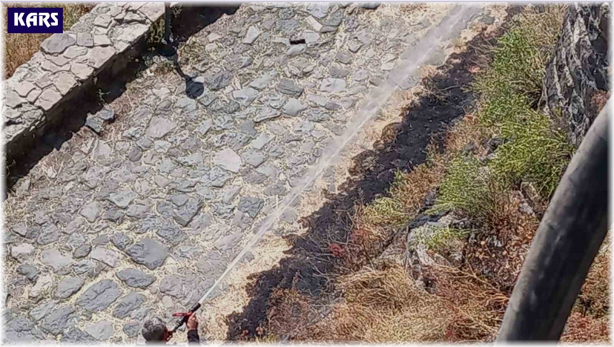 Kars'ta çıkan 2 ayrı anız yangını söndürüldü