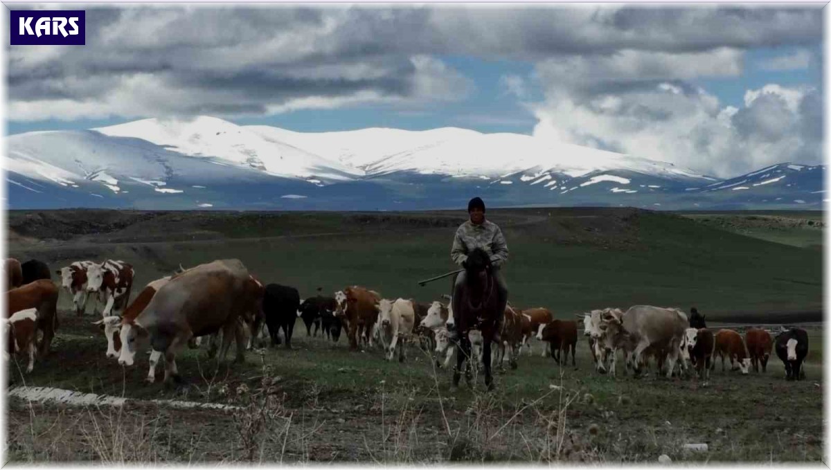 Kars'ta dağların zirvesi mayısta beyaza büründü