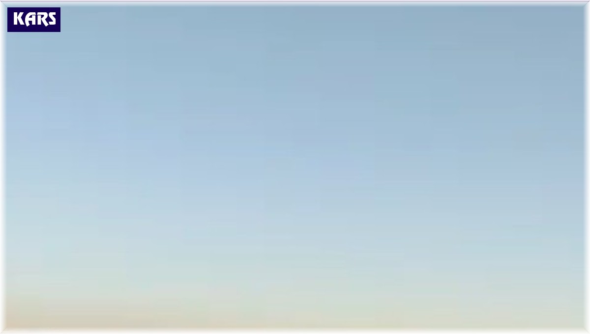 Kars'ta domuz sürüsü cep telefonuyla görüntülendi