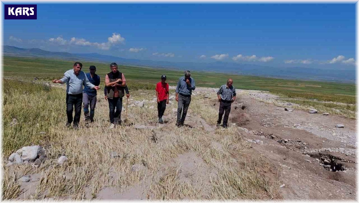 Kars'ta ekili araziler yağmurdan zarar gördü