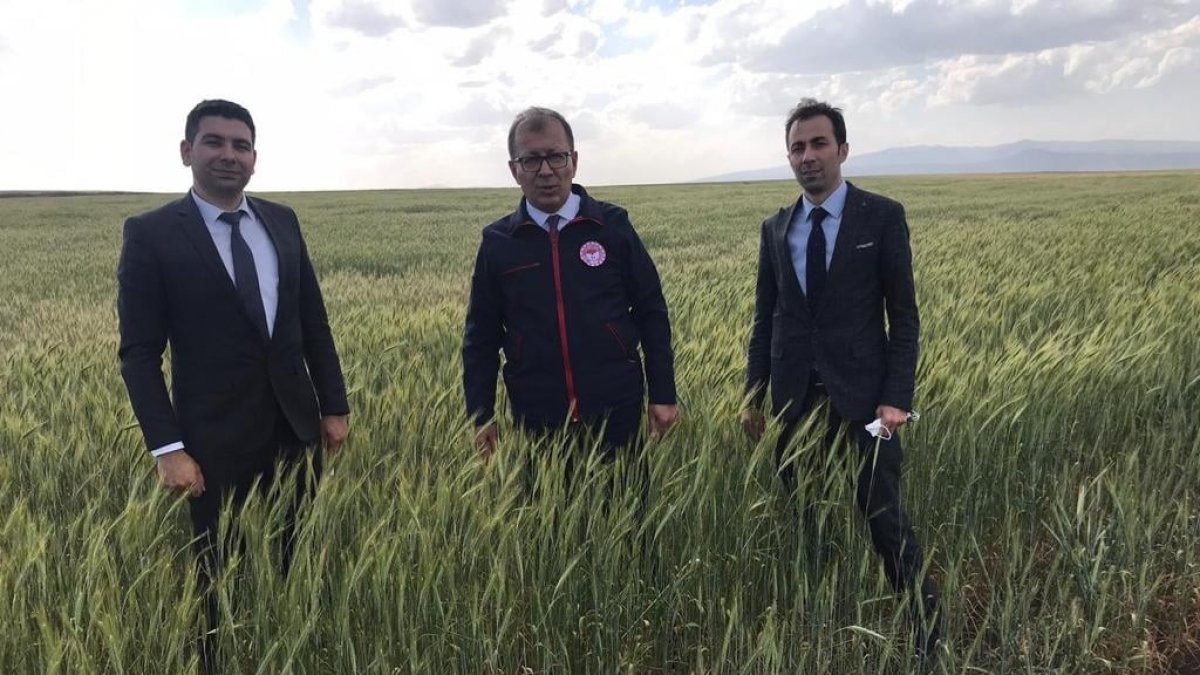 Kars'ta ekili tarlarda kontroller sürüyor