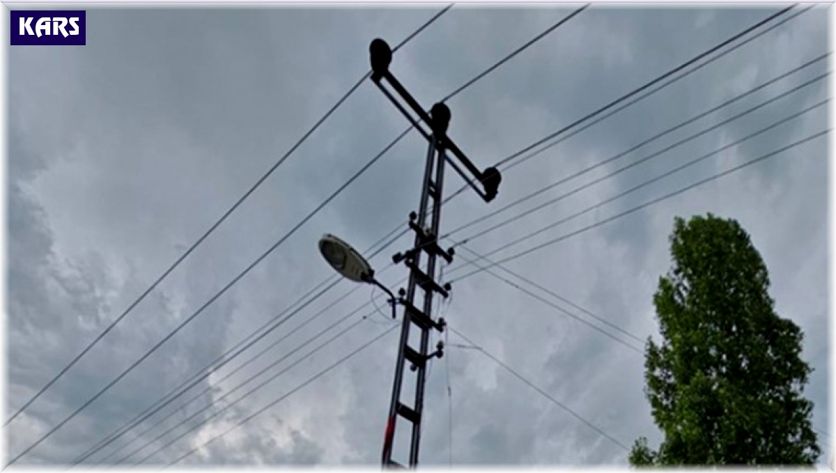 Kars'ta elektrik akımına kapılan 2 büyükbaş hayvan telef oldu