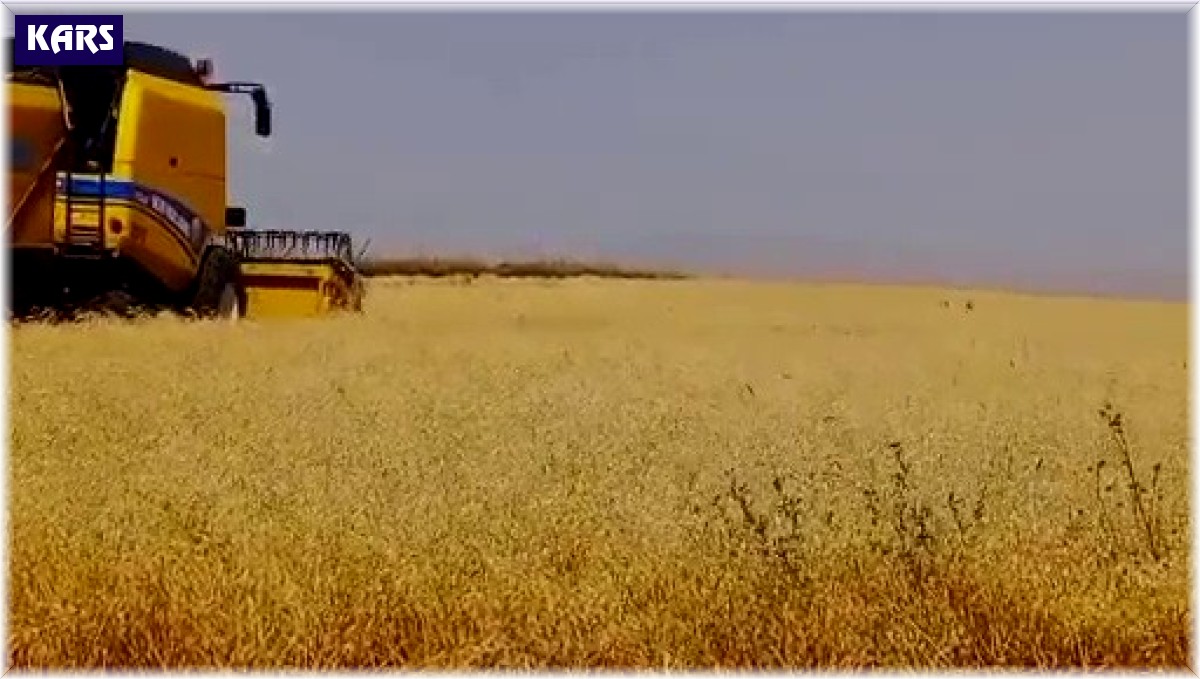 Kars'ta emekler ekmeğe dönüşüyor