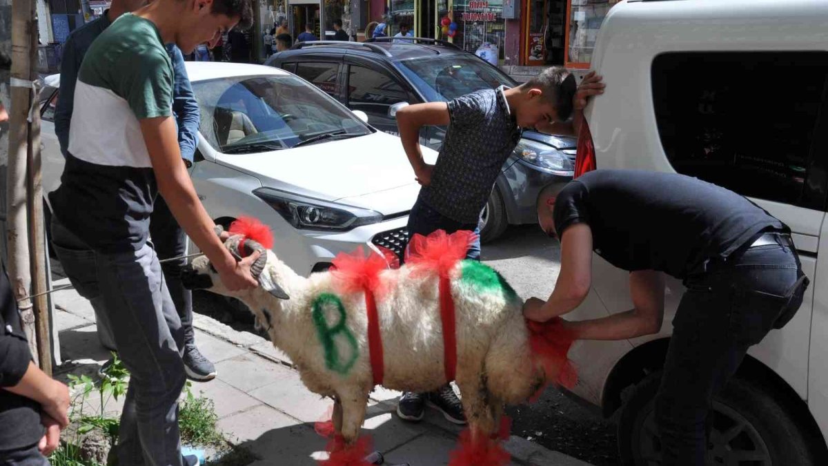 Kars'ta geline 'süslü koç gönderme geleneği' sürüyor