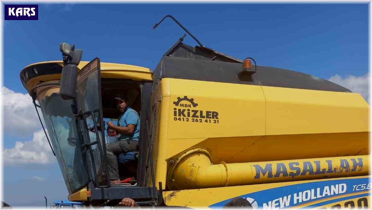 Kars'ta hububat hasadı başladı