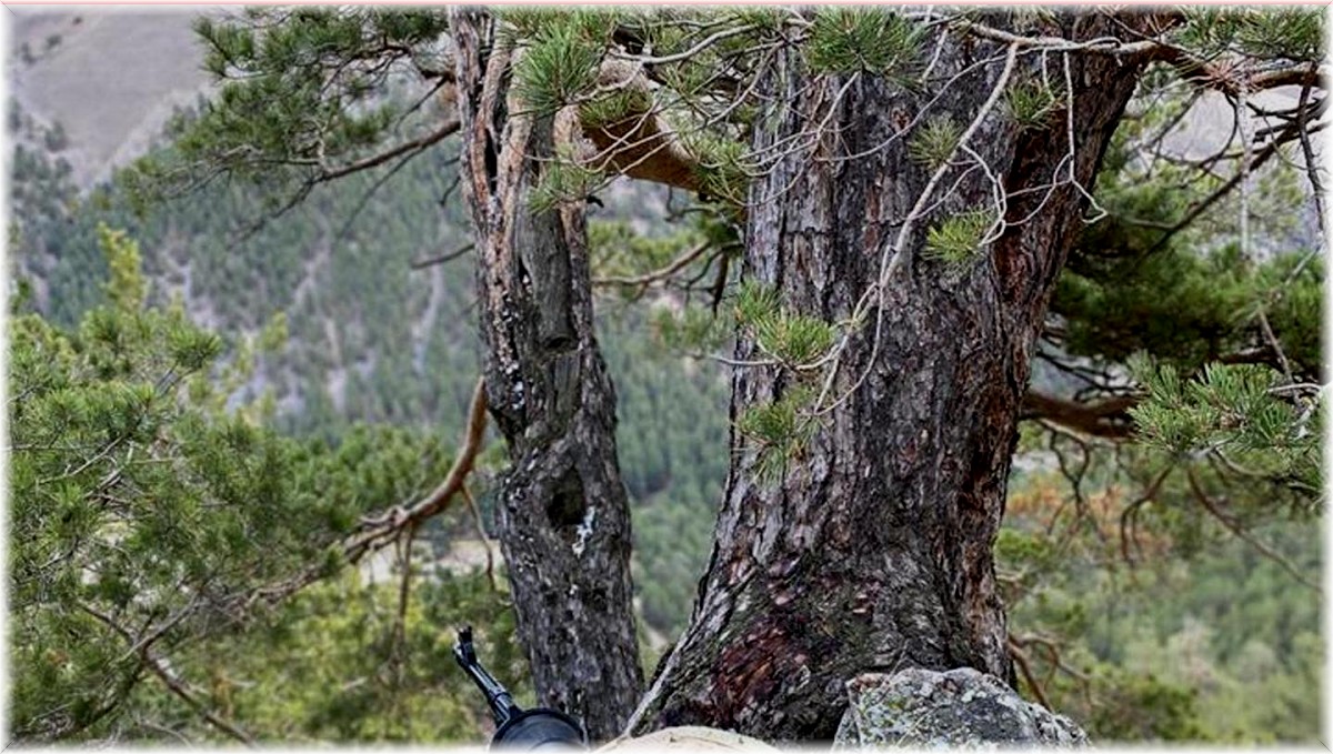 Kars'ta jandarmanın terör operasyonu sürüyor