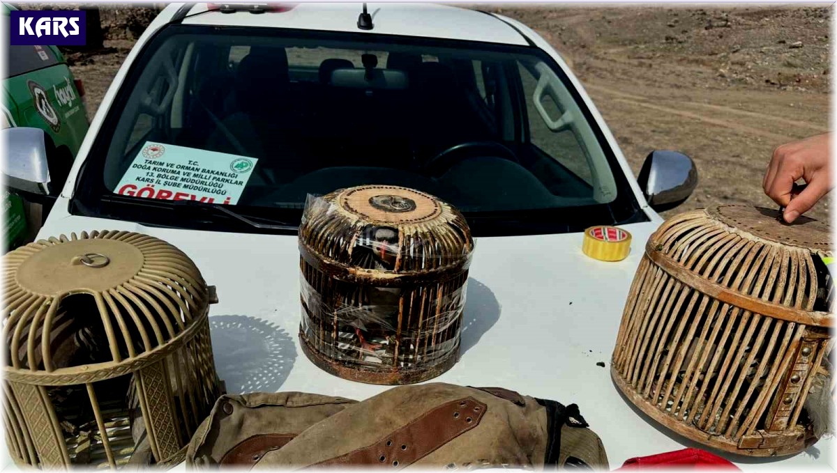 Kars'ta kaçak avcılara ceza yağdı