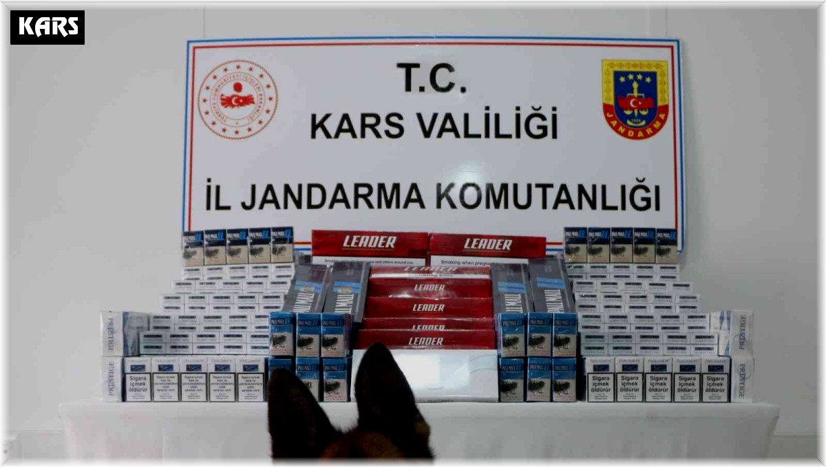 Kars'ta kaçak sigara ele geçirildi