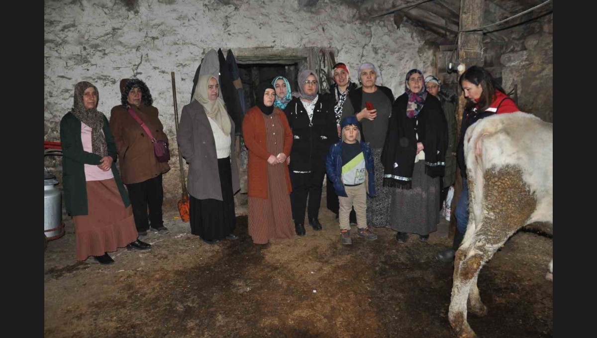 Kars'ta kadınlar sağlıklı sağım tekniklerini öğreniyor