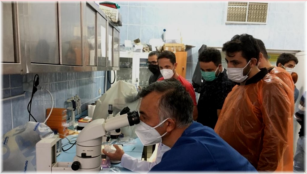 Kars'ta Kafkas Üniversitesi'nde ilk kez Embriyo Transfer Kursu düzenlendi