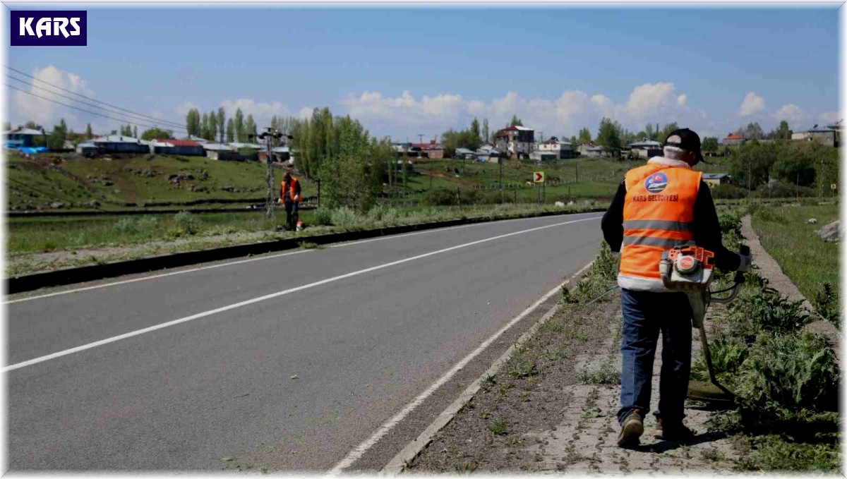 Kars'ta kaldırımlar yabani otlardan temizleniyor