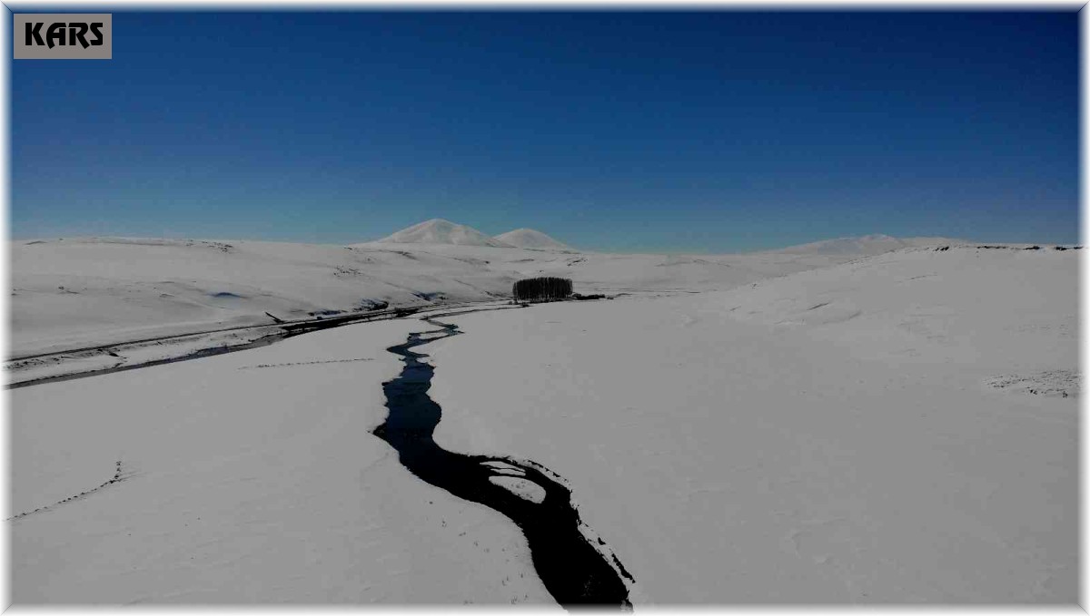 Kars'ta kar altındaki menderesler büyülüyor