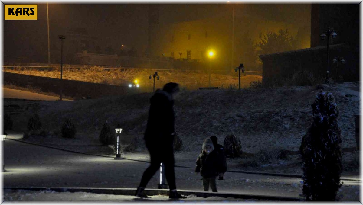 Kars'ta kar yağışı etkili oluyor
