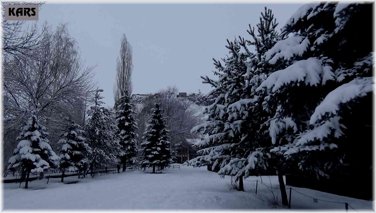 Kars'ta kar yağışı sürüyor