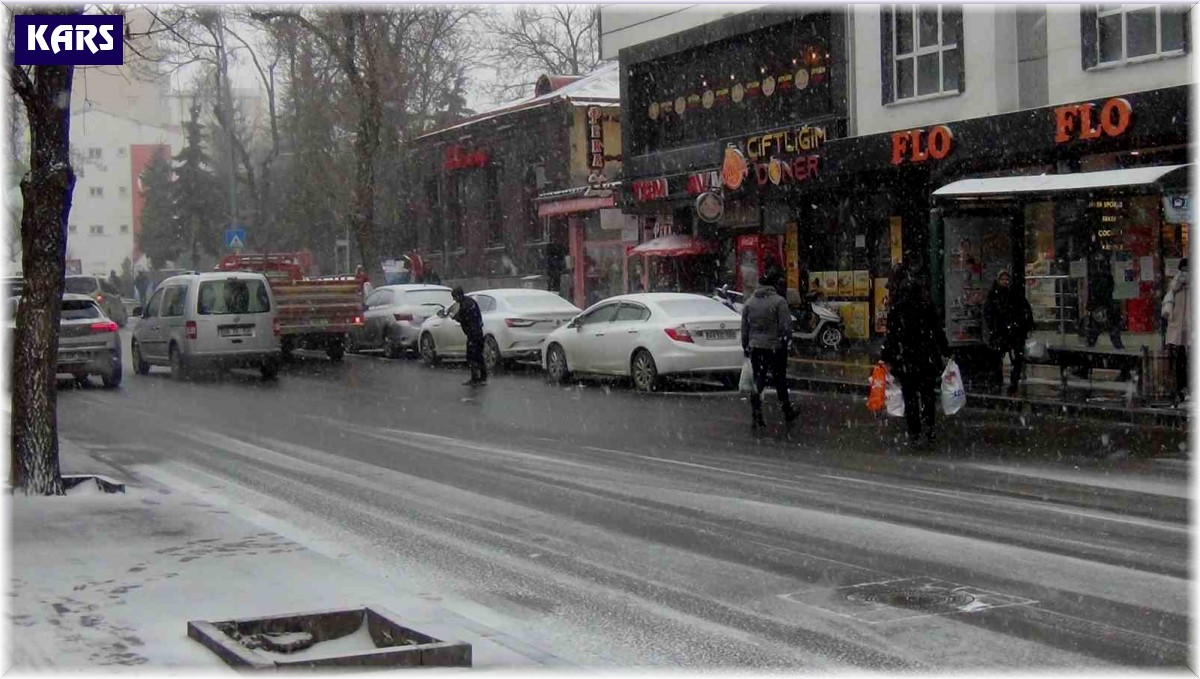 Kars'ta kar yağışı ve tipi etkili oluyor