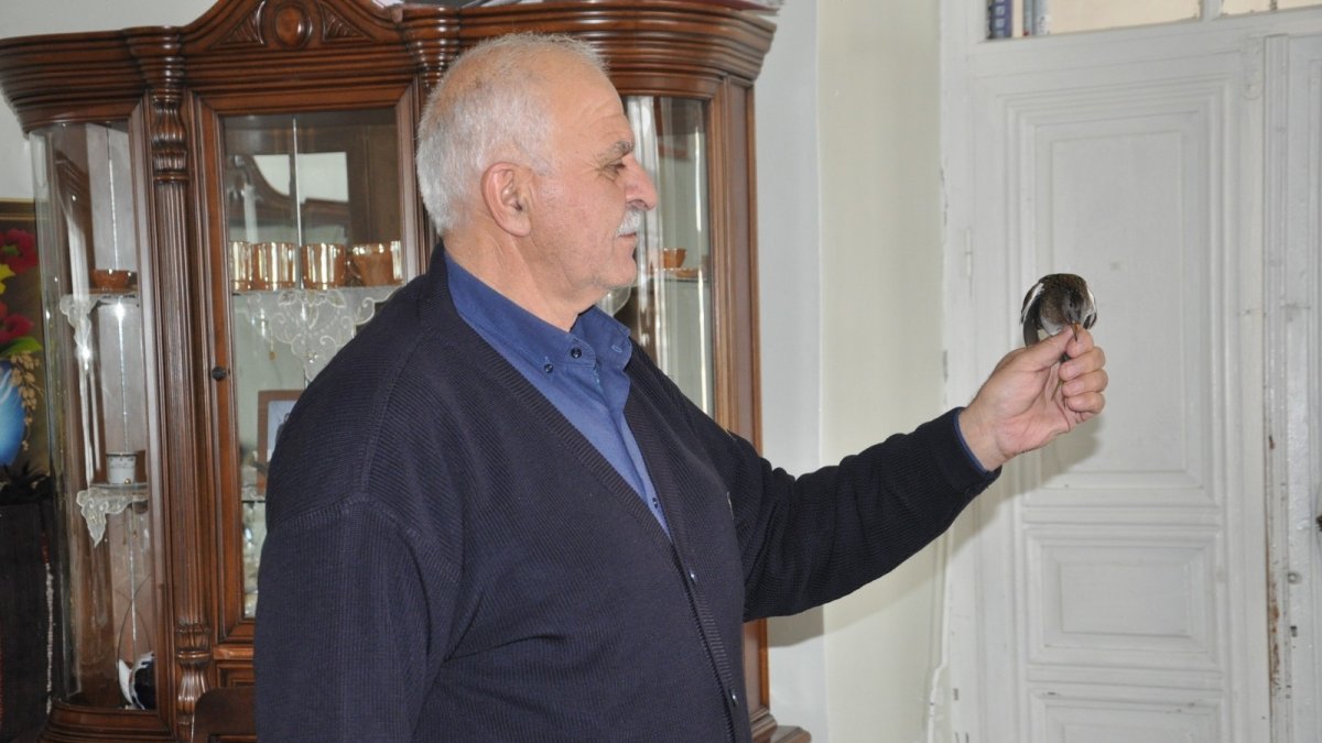 Kars'ta kargaların saldırısına uğrayan kuşu köylü kurtardı