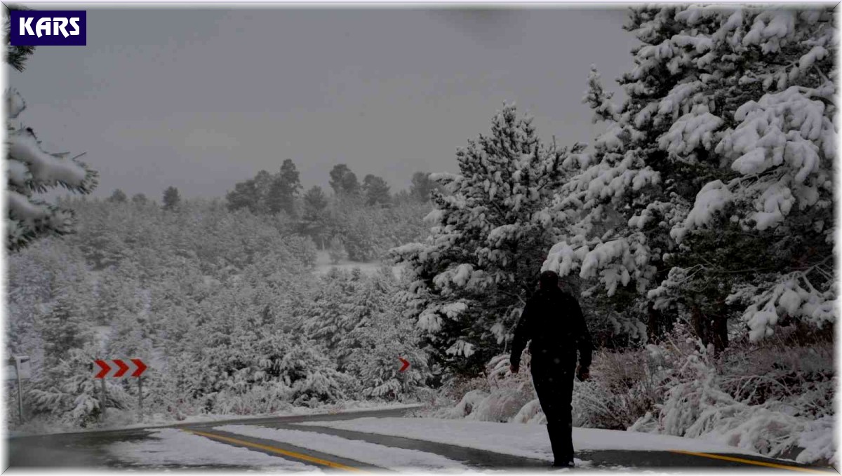 Kars'ta kartpostallık kış manzaraları