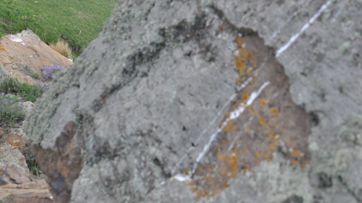 Kars'ta kayalıktaki Yunus figürü dikkat çekiyor