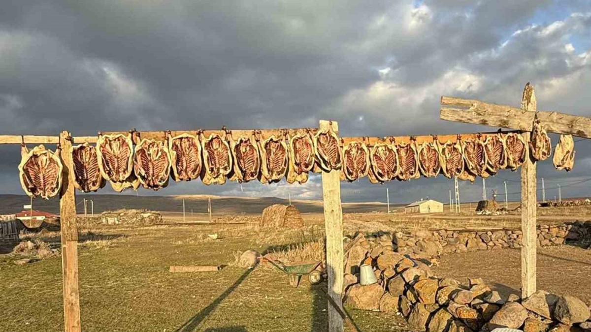 Kars'ta kazlar tellerde kurutuluyor