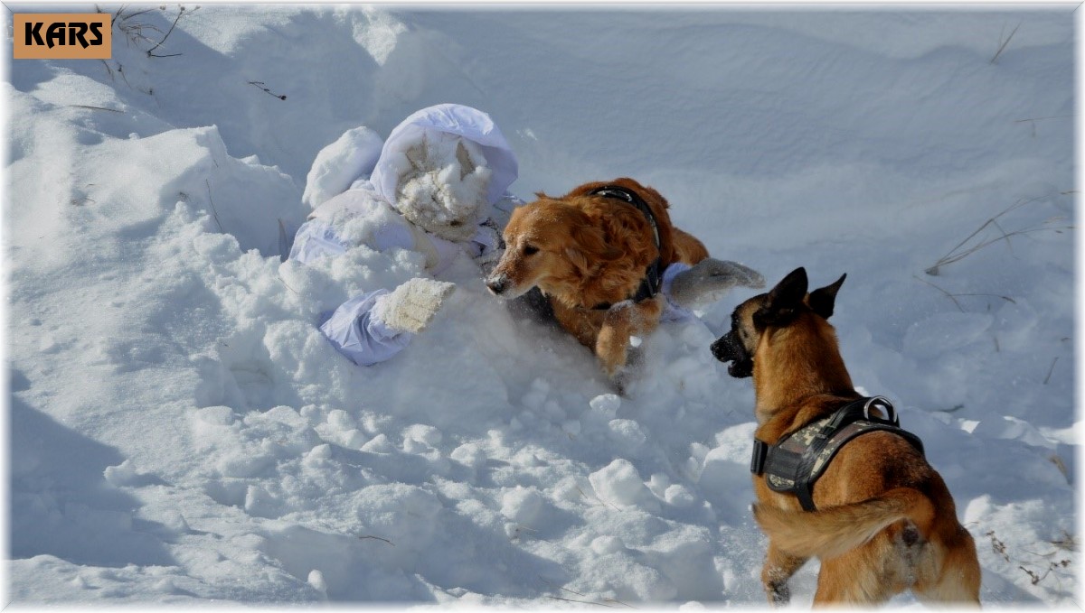Kars'ta komandolardan çığda arama kurtarma eğitimi