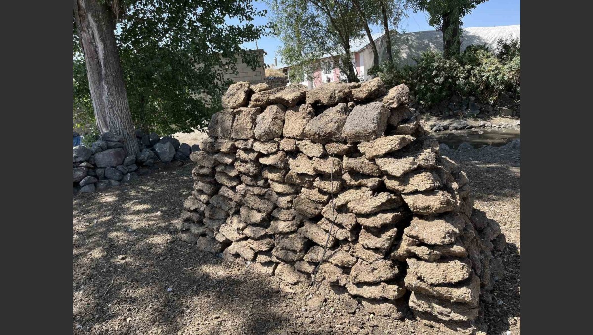 Kars'ta köylülerin kışlık tezek mesaisi başladı