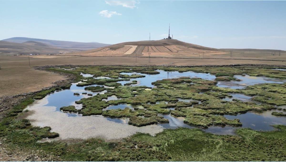 Kars'ta kuraklığın vurduğu Çalı Gölü'nü kuşlar terk etti