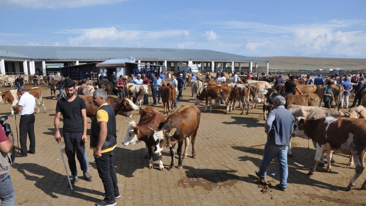 Kars'ta kurbanlık çok alan yok