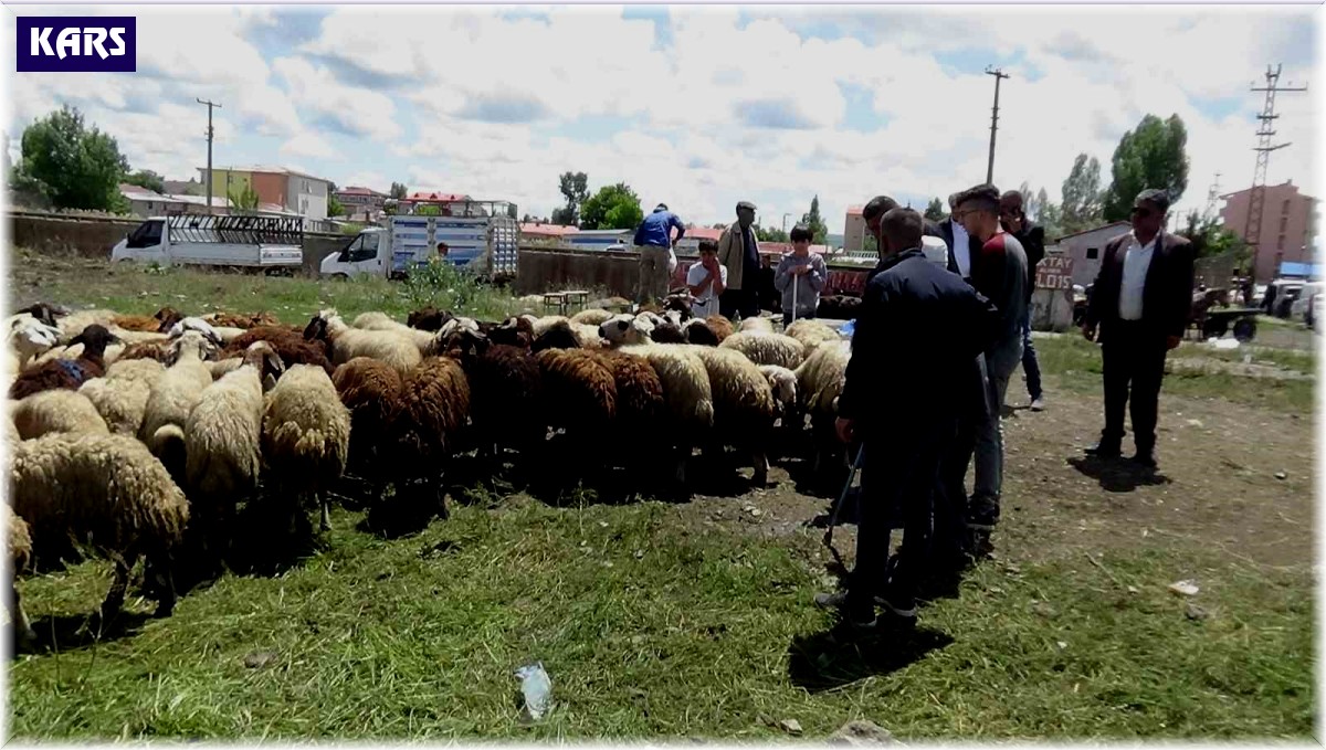 Kars'ta kurbanlık çok, alan yok