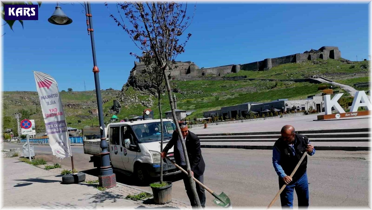 Kars'ta kuruyan ağaçlar değiştiriliyor