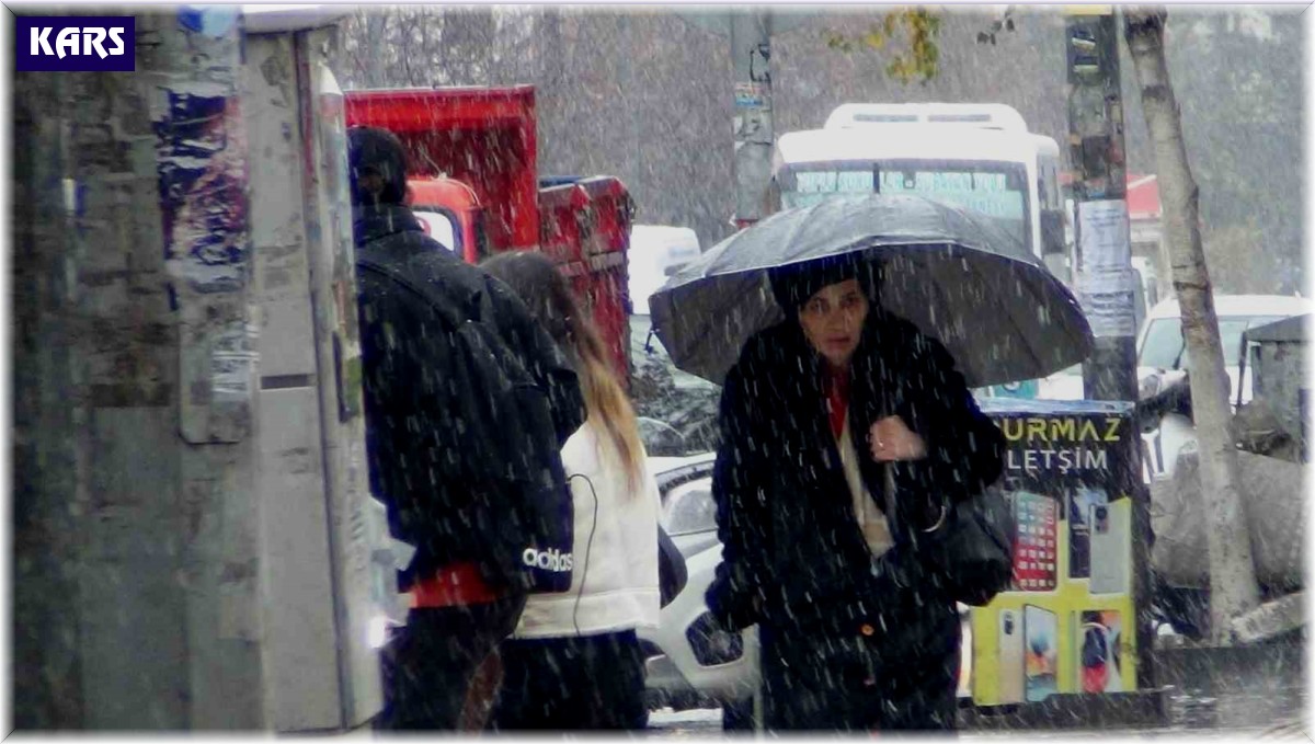 Kars'ta lapa lapa kar yağışı