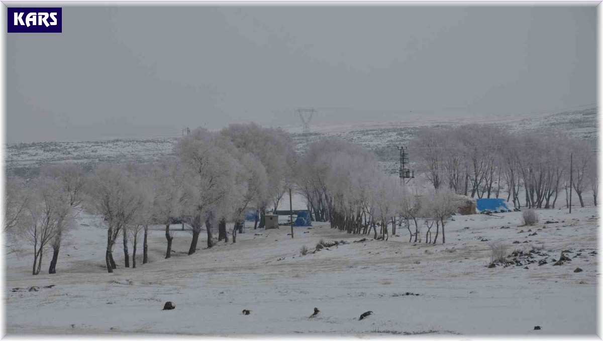 Kars'ta Lavaşın Gölü buz tuttu