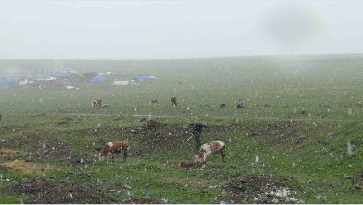 Kars'ta Mayıs karı şaşırttı