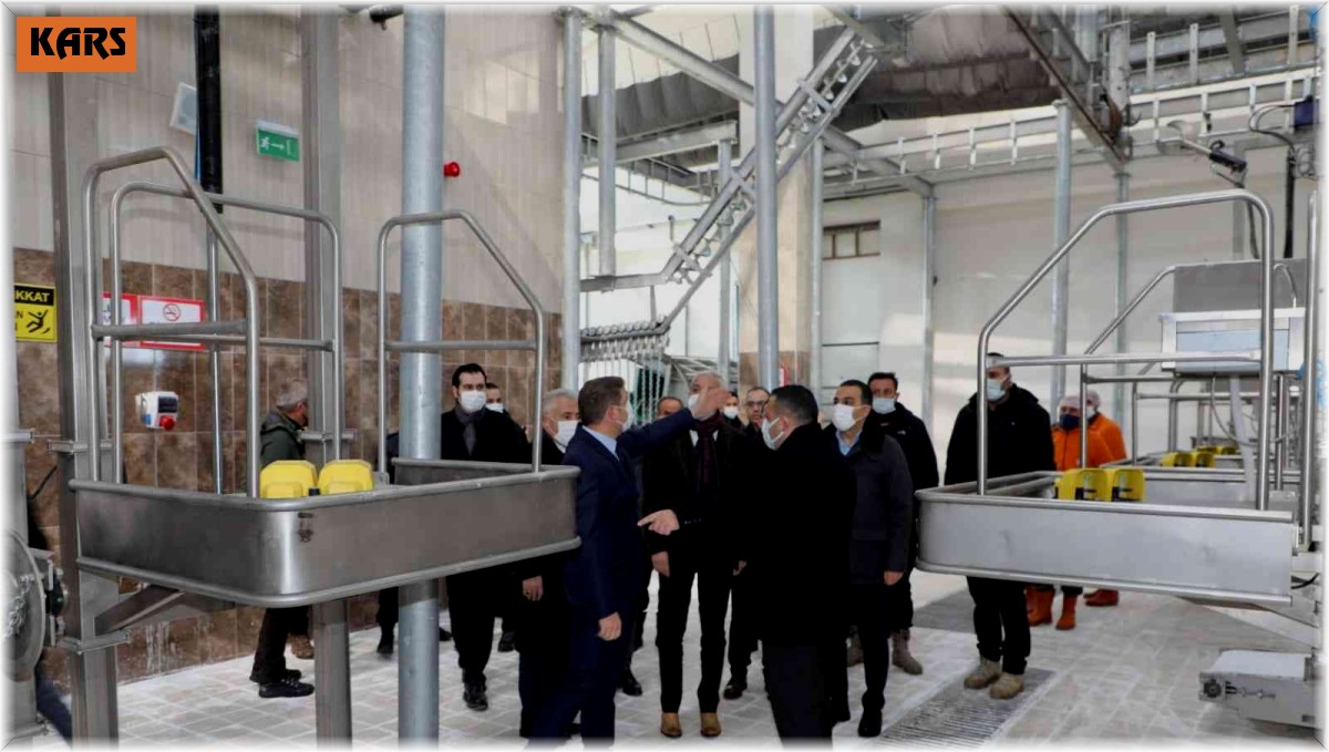 Kars'ta Modern Besi Çiftliği ve Kesimhane tamamlanıyor