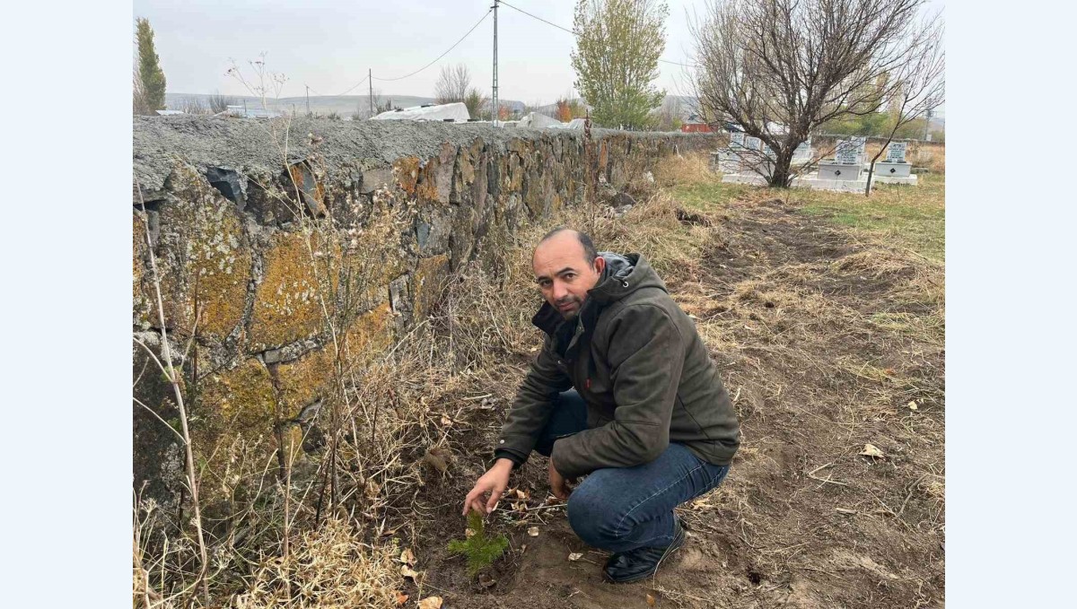 Kars'ta muhtardan örnek davranış: Kayaköprü köyünde fidanlar toprakla buluştu