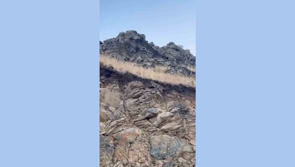 Kars'ta ormanların hayaleti vaşak kameraya yansıdı