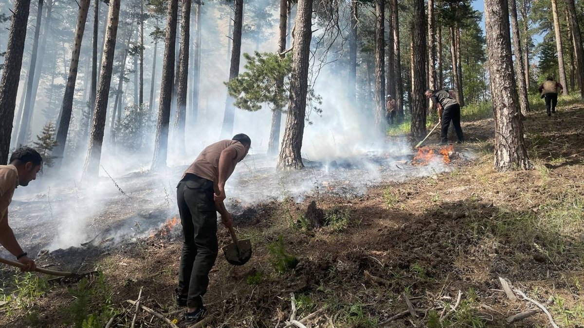 Kars'ta ormanlık alanda çıkan örtü yangını söndürüldü