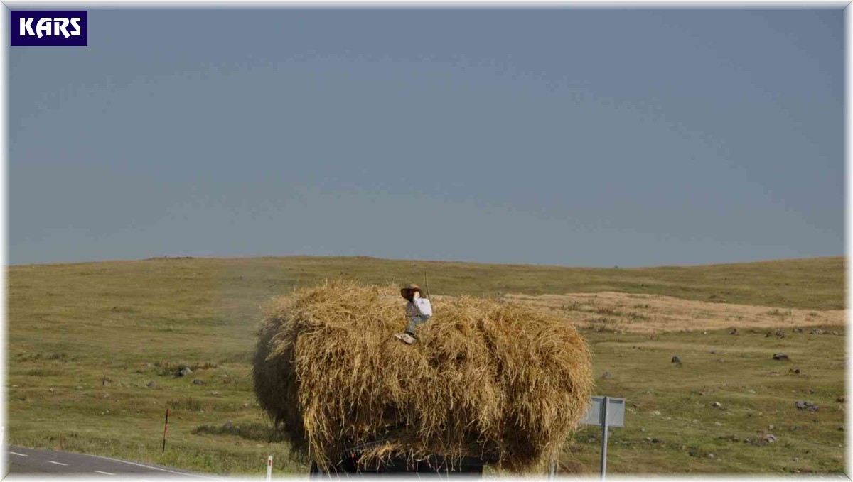 Kars'ta ot yüklü traktörler tehlike saçıyor
