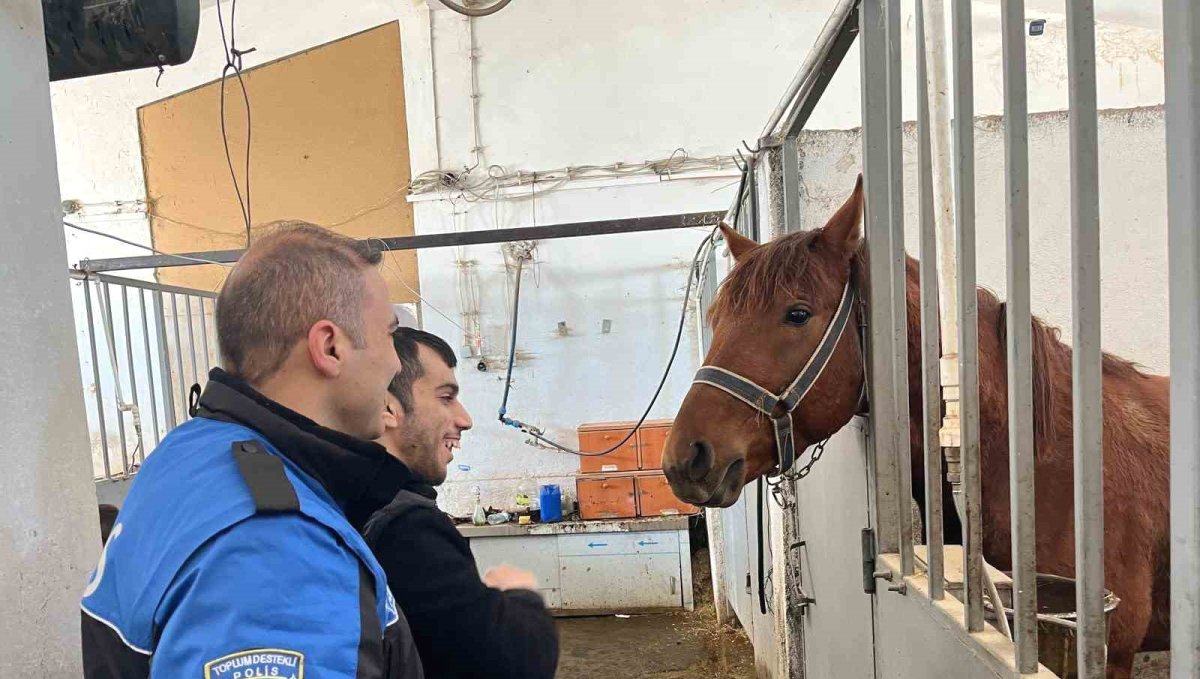 Kars'ta özel öğrenciler için anlamlı etkinlik