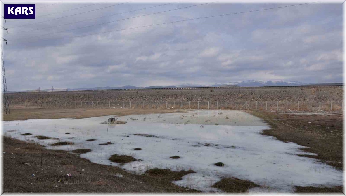 Kars'ta peynir altı sularının oluşturduğu gölet etrafa pis koku yayıyor