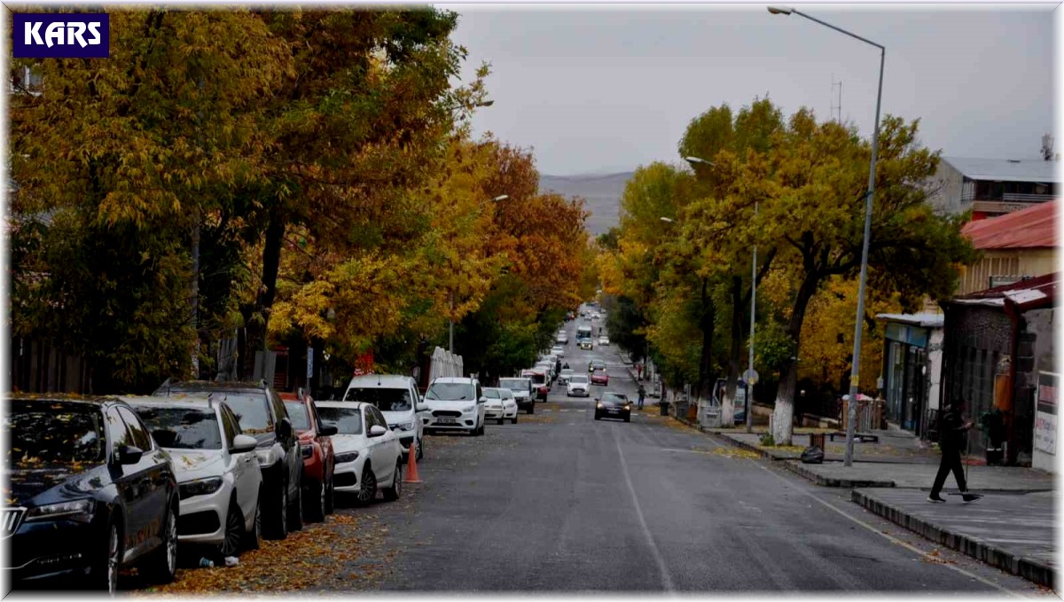 Kars'ta renk cümbüşü yaşanıyor