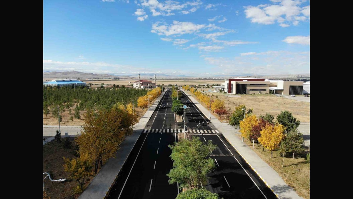 Kars'ta renk tonuna bürünen ağaçlar büyüledi