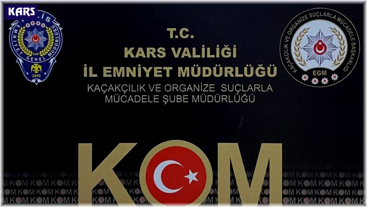 Kars'ta ruhsatsız silah operasyonu